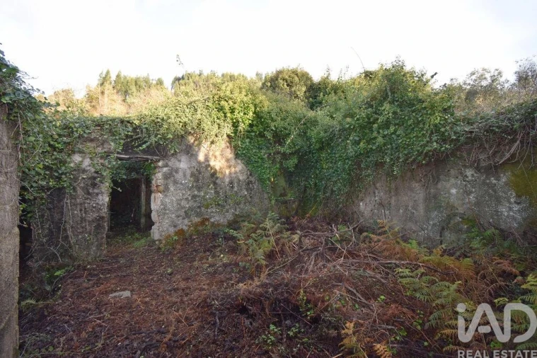 Moradia para Venda em São Miguel, Santa Eufémia e Rabaçal Foto 8
