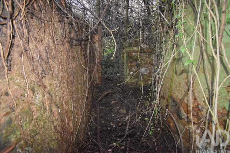 Moradia para Venda em São Miguel, Santa Eufémia e Rabaçal Foto 12