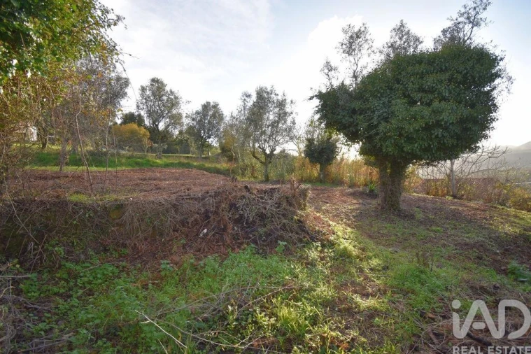 Moradia para Venda em São Miguel, Santa Eufémia e Rabaçal Foto 15