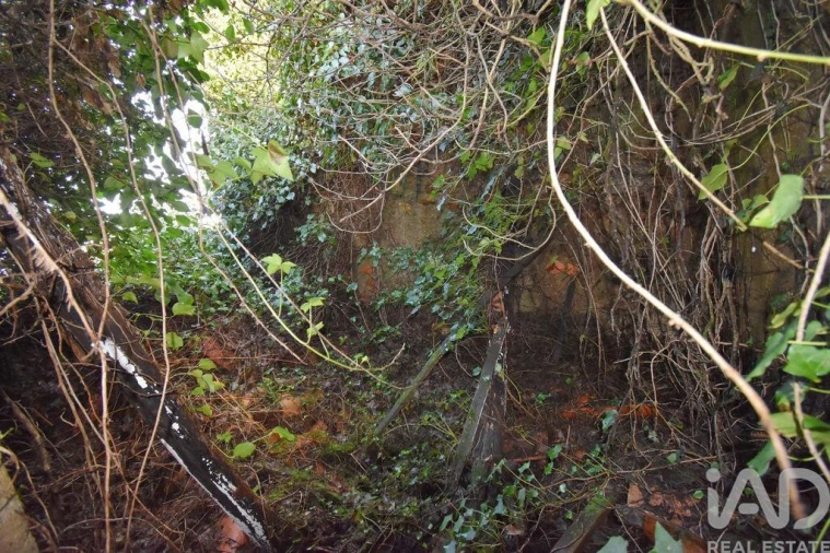 Moradia para Venda em São Miguel, Santa Eufémia e Rabaçal Foto 10