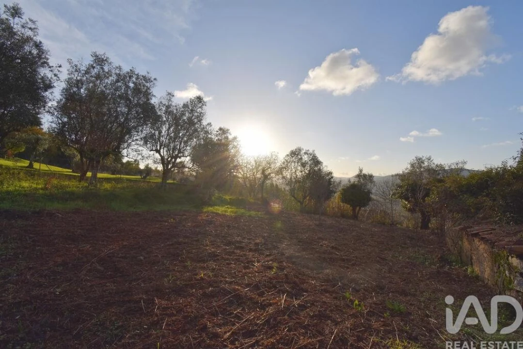 Moradia para Venda em São Miguel, Santa Eufémia e Rabaçal Foto 19
