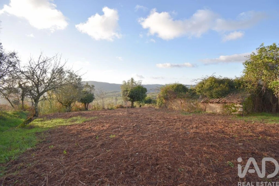 Moradia para Venda em São Miguel, Santa Eufémia e Rabaçal Foto 17