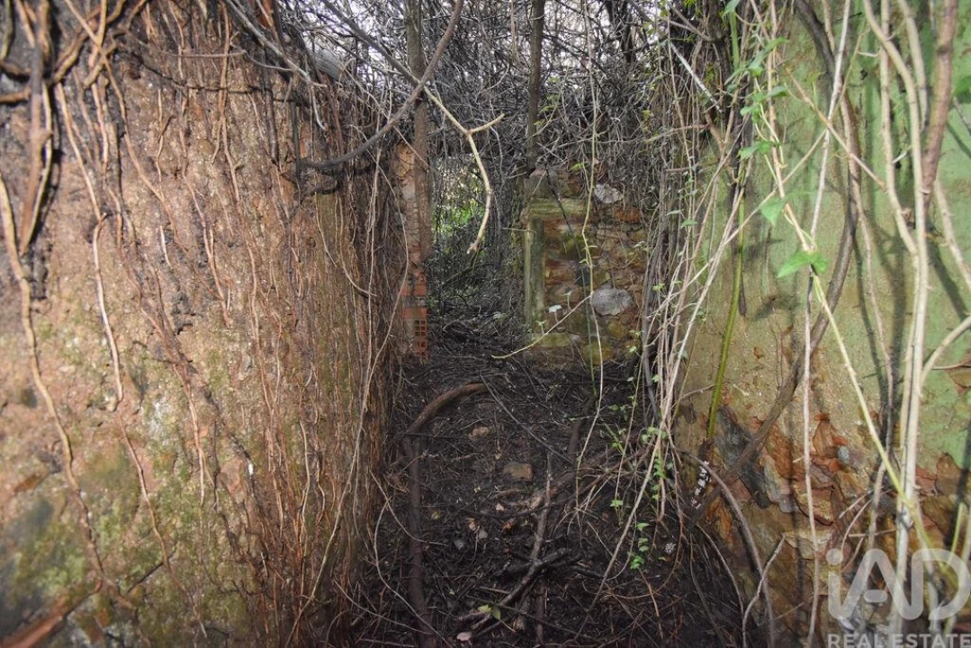 Moradia para Venda em São Miguel, Santa Eufémia e Rabaçal Foto 12