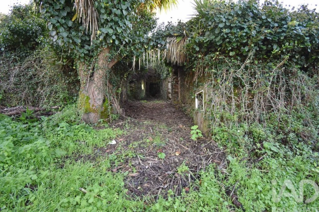 Moradia para Venda em São Miguel, Santa Eufémia e Rabaçal Foto 3