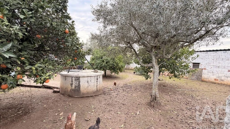 Moradia T3 para Venda em Abitureiras Foto 29