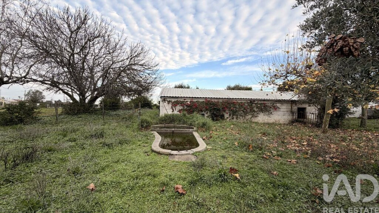 Moradia T3 para Venda em Abitureiras Foto 32