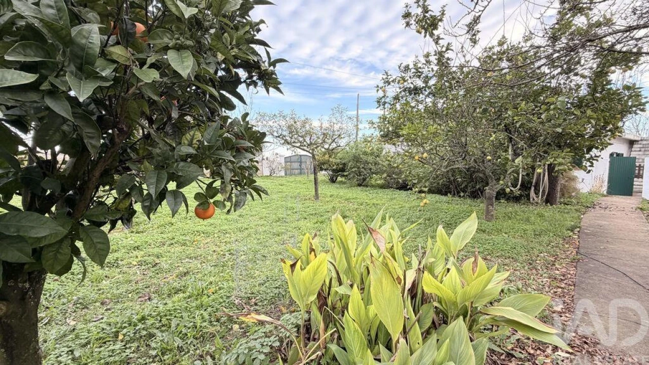 Moradia T3 para Venda em Abitureiras Foto 28