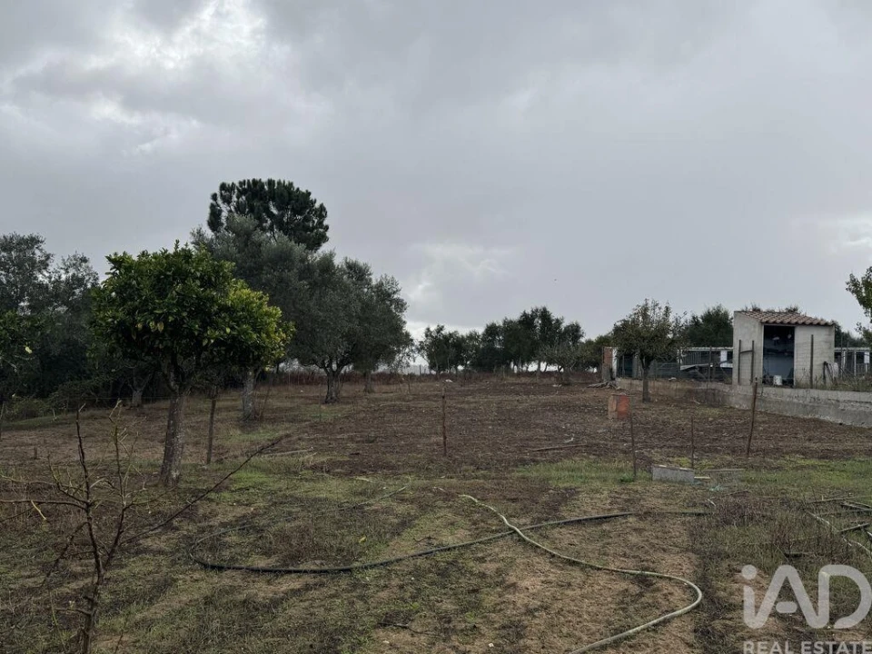 Moradia T1 para Venda em São Salvador e Santa Maria Foto 4