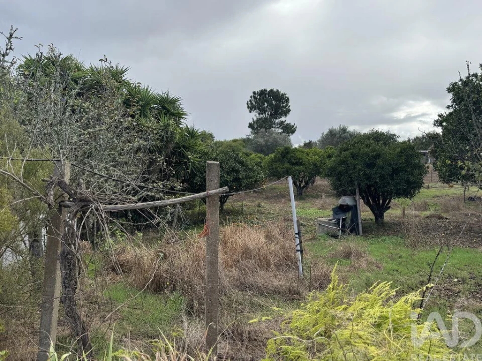 Moradia T1 para Venda em São Salvador e Santa Maria Foto 7