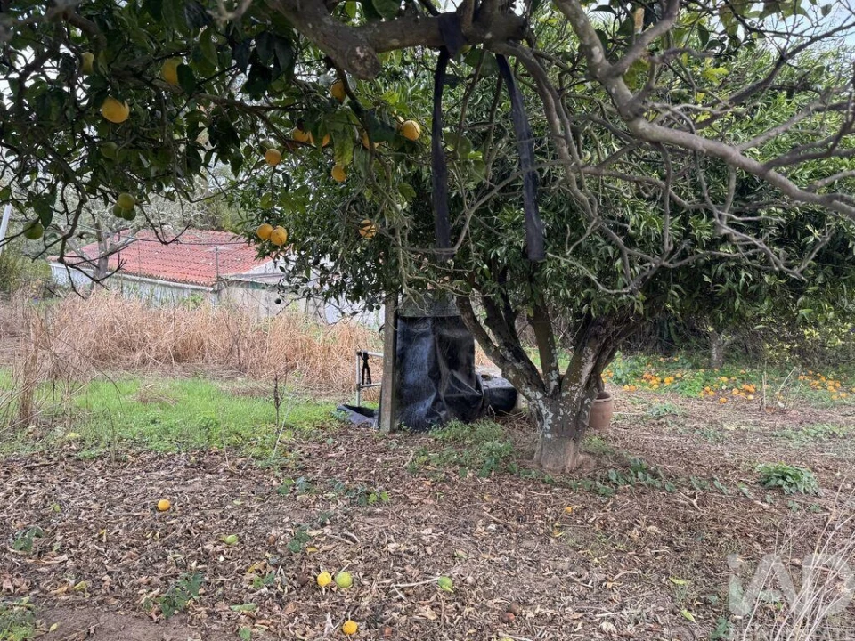 Moradia T1 para Venda em São Salvador e Santa Maria Foto 12