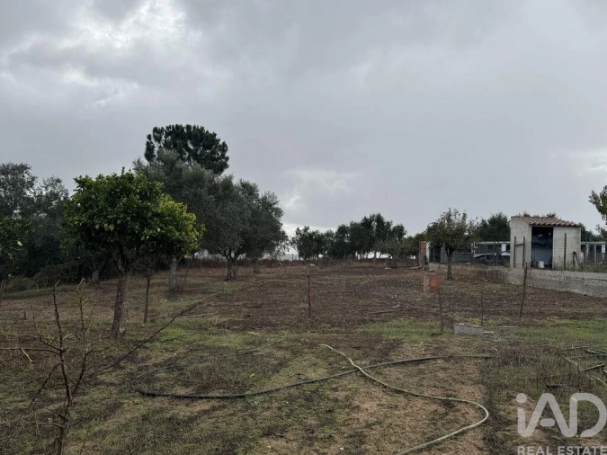 Moradia T1 para Venda em São Salvador e Santa Maria Foto 4