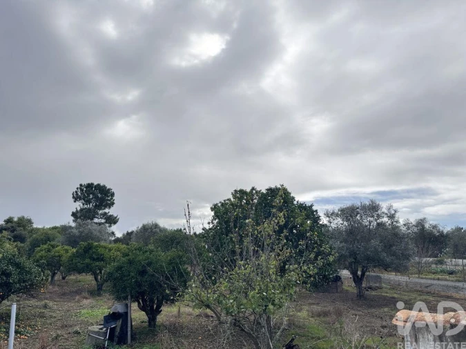 Moradia T1 para Venda em São Salvador e Santa Maria Foto 2