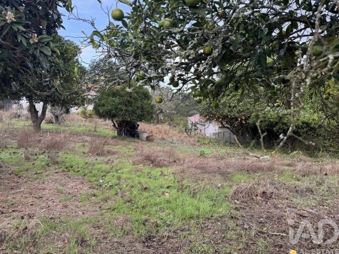 Moradia T1 para Venda em São Salvador e Santa Maria Foto 11