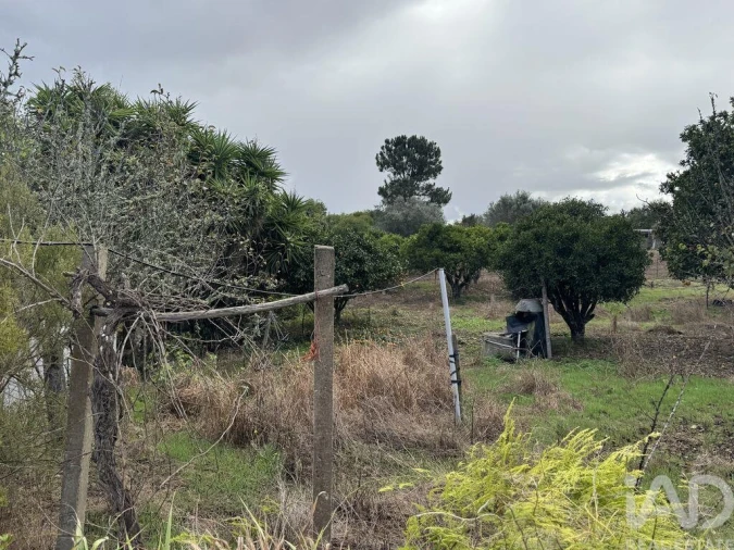 Moradia T1 para Venda em São Salvador e Santa Maria Foto 7