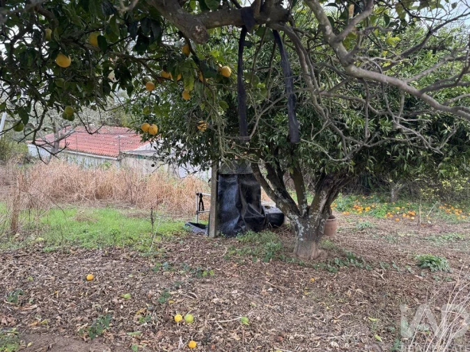 Moradia T1 para Venda em São Salvador e Santa Maria Foto 12