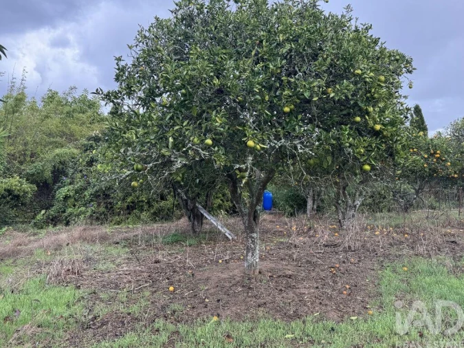 Moradia T1 para Venda em São Salvador e Santa Maria Foto 16