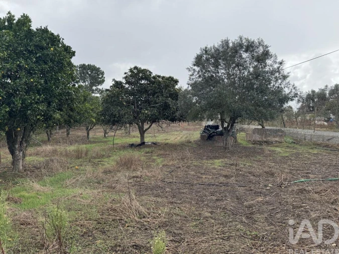 Moradia T1 para Venda em São Salvador e Santa Maria Foto 9