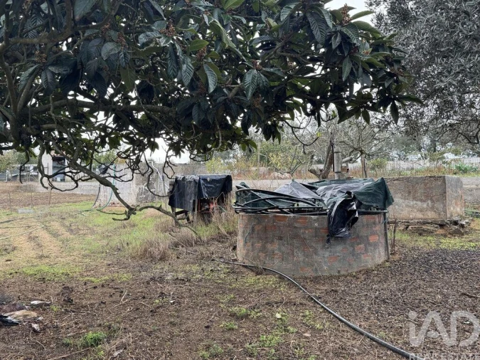 Moradia T1 para Venda em São Salvador e Santa Maria Foto 14