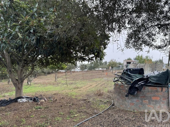 Moradia T1 para Venda em São Salvador e Santa Maria Foto 8