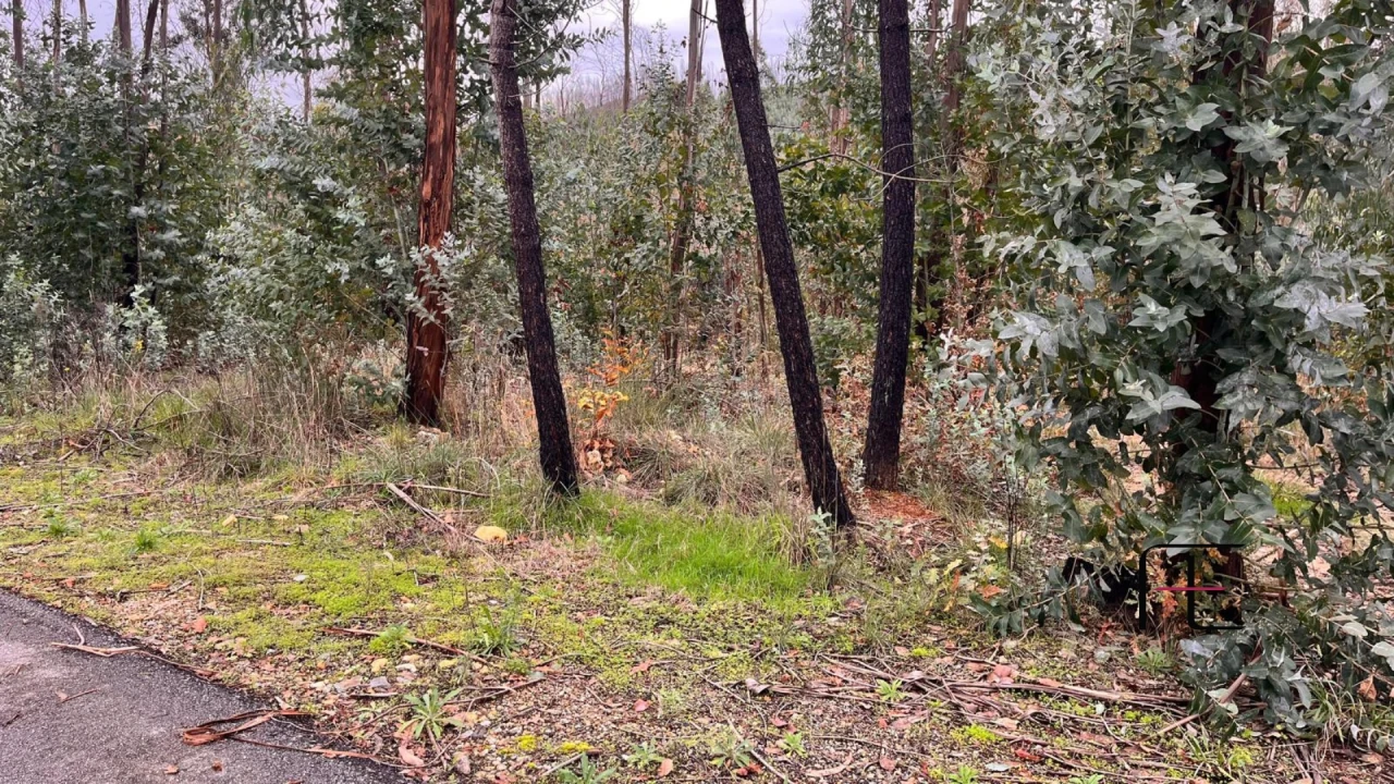 Terreno para Venda em Macinhata do Vouga Foto 3