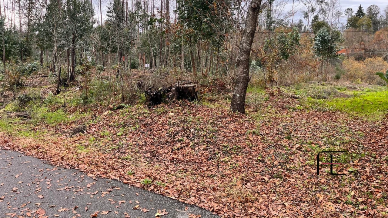 Terreno para Venda em Macinhata do Vouga Foto 5
