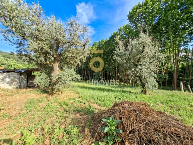 Moradia T3 para Venda em Real Foto 25