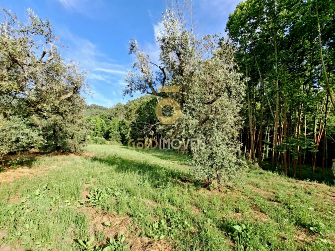 Moradia T3 para Venda em Real Foto 26