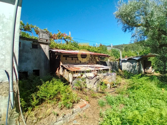 Moradia T3 para Venda em Real Foto 10