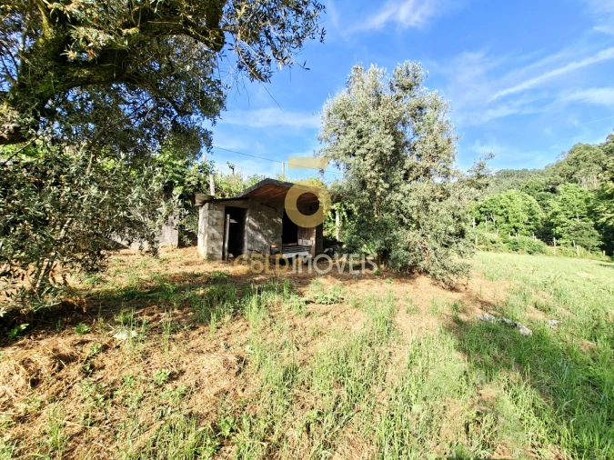 Moradia T3 para Venda em Real Foto 28