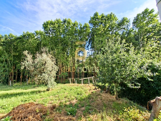 Moradia T3 para Venda em Real Foto 32