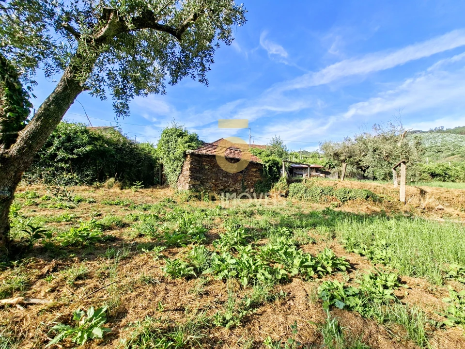 Moradia T3 para Venda em Real Foto 22