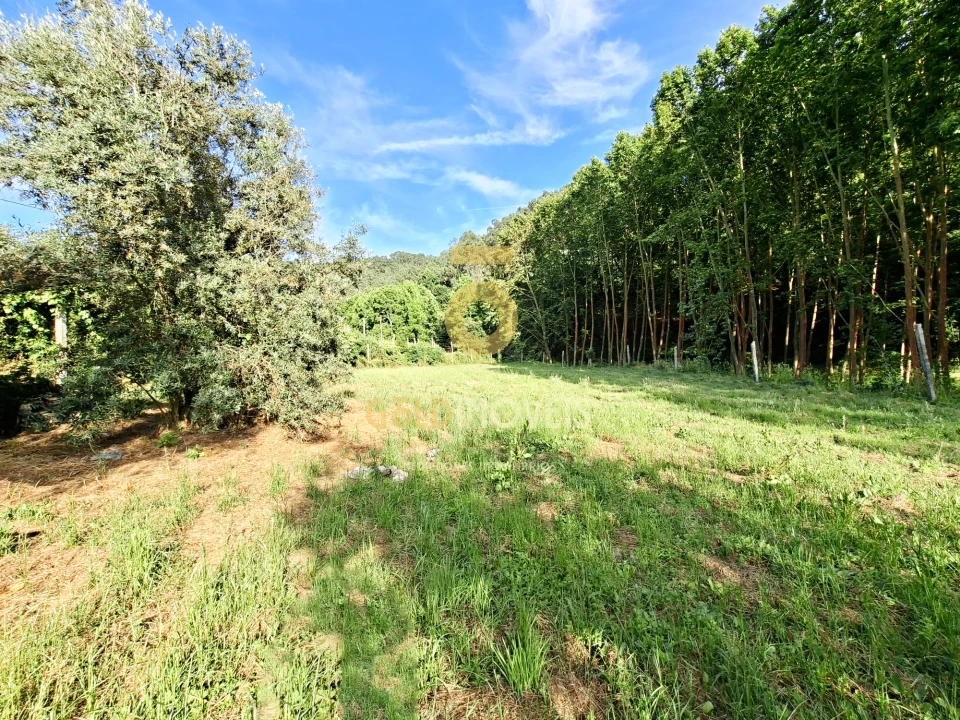 Moradia T3 para Venda em Real Foto 29