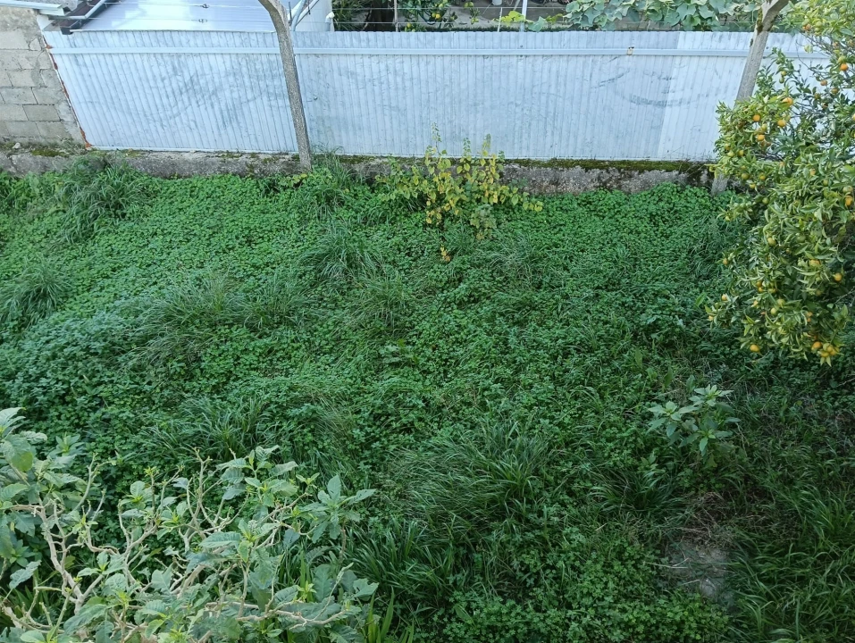 Prédio para Venda em Santa Clara e Castelo Viegas Foto 9