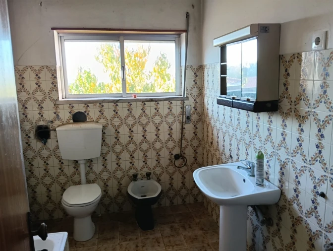 Prédio para Venda em Santa Clara e Castelo Viegas Foto 5