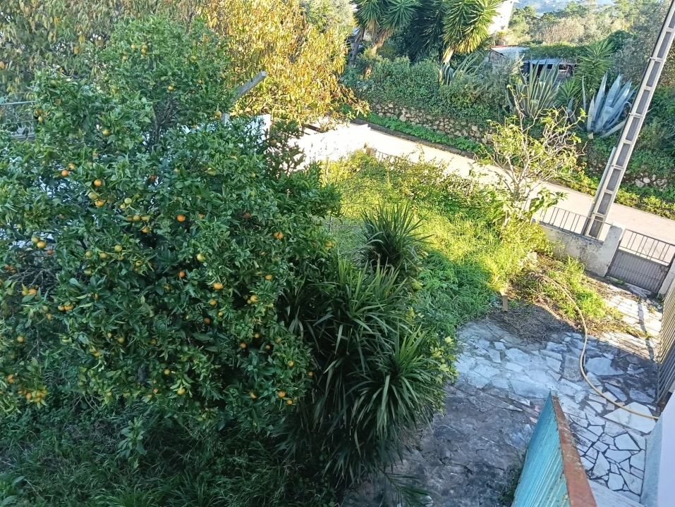 Prédio para Venda em Santa Clara e Castelo Viegas Foto 8