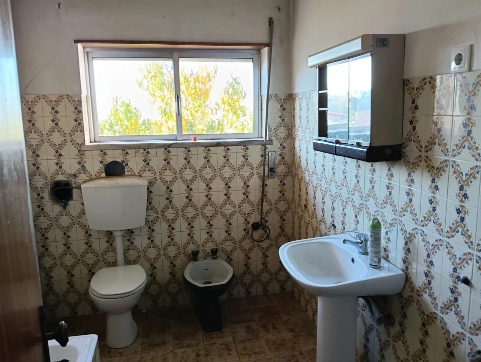 Prédio para Venda em Santa Clara e Castelo Viegas Foto 5