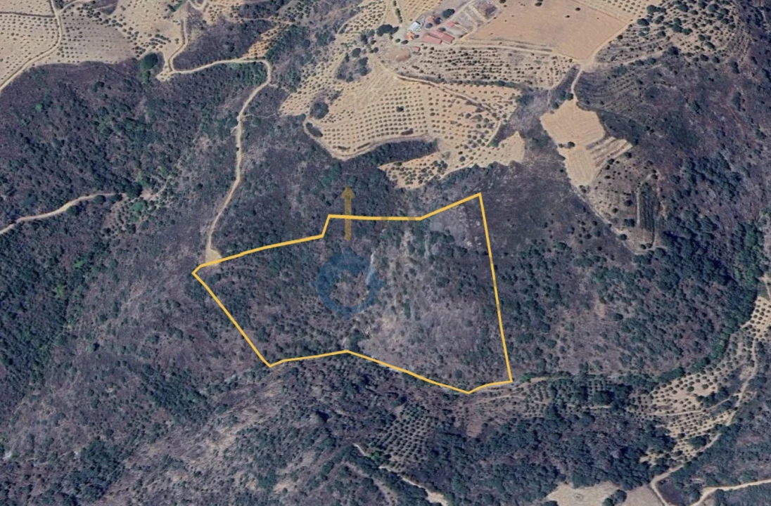 Quinta T0 para Venda em Alfandega da Fe Foto 3