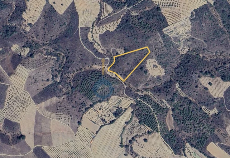 Terreno Agricola ou Rústico para Venda em Vilar Chão Foto 2