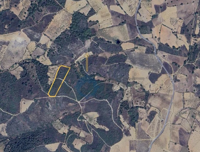 Terreno Agricola ou Rústico para Venda em Parada e Sendim da Ribeira Foto 2