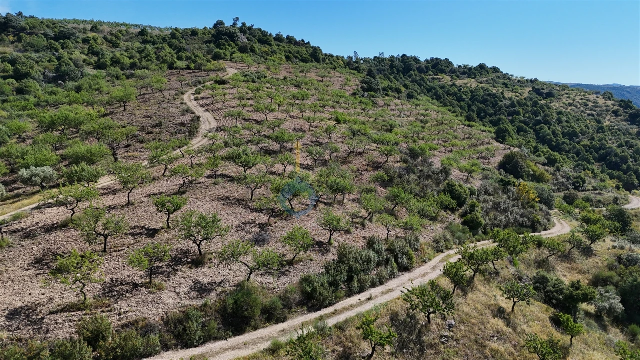 Terreno Agricola ou Rústico para Venda em Vilar Chão Foto 10