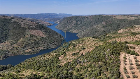 Terreno Agricola ou Rústico para Venda em Vilar Chão