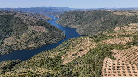 Terreno Agricola ou Rústico para Venda em Vilar Chão