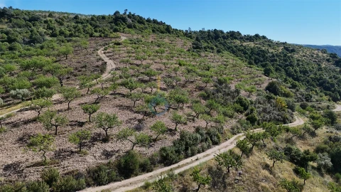 Terreno Agricola ou Rústico para Venda em Vilar Chão