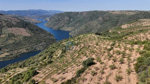 Terreno Agricola ou Rústico para Venda em Vilar Chão