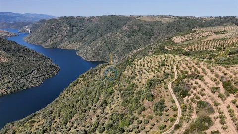 Terreno Agricola ou Rústico para Venda em Vilar Chão