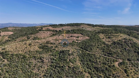 Terreno Agricola ou Rústico para Venda em Vilar Chão