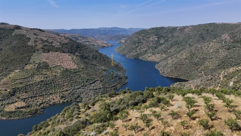 Terreno Agricola ou Rústico para Venda em Vilar Chão