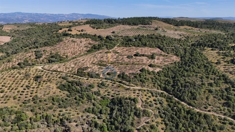 Terreno Agricola ou Rústico para Venda em Vilar Chão