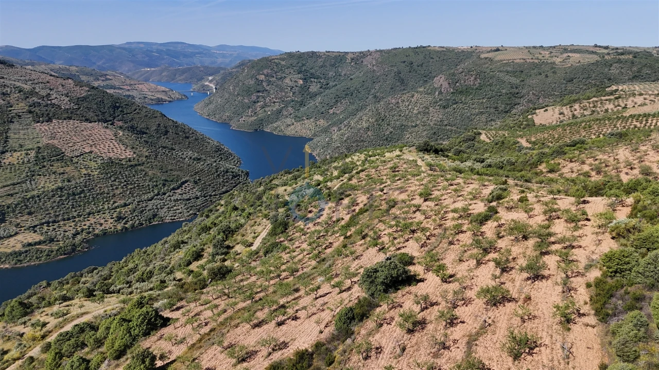 Terreno Agricola ou Rústico para Venda em Vilar Chão Foto 1