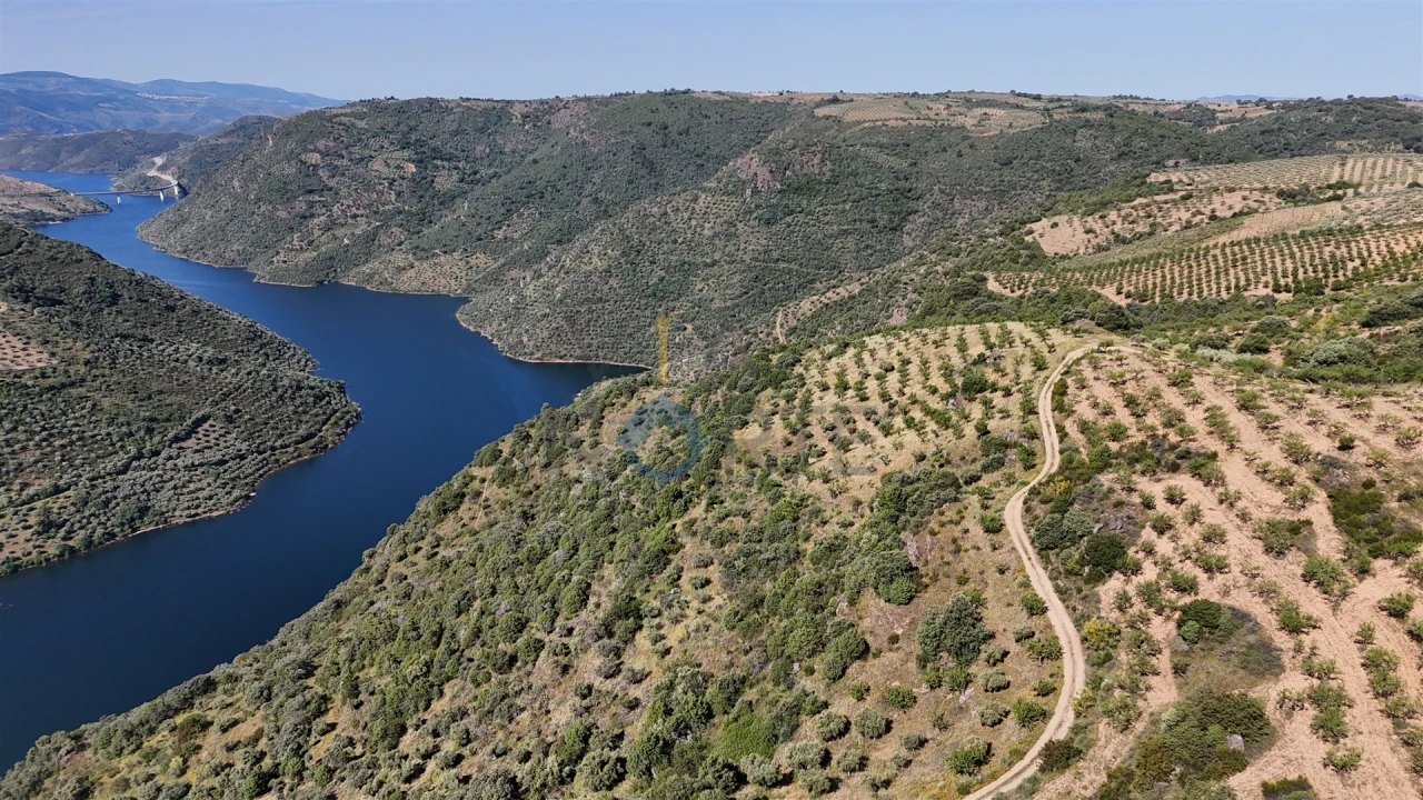 Terreno Agricola ou Rústico para Venda em Vilar Chão Foto 5